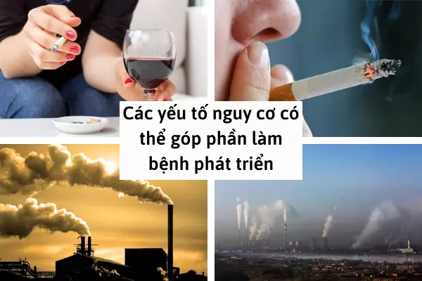 cac-yeu-to-nguy-co-ve-moi-truong,-thoi-quen-song,-y-sinh,...-co-the-gop-phan-lam-suy-ho-hap-phat-trien
